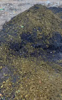 فروش پوست سبز گردو