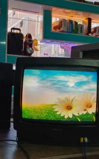 تلویزیون ۱۴ اینچ بکو