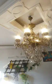 فرو لوستر برنز اصل سلطنتی قلم سیاه