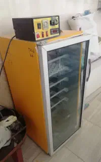 دستگاه جوجه کشی 210 تایی