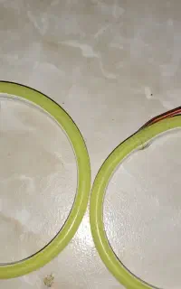 نئون