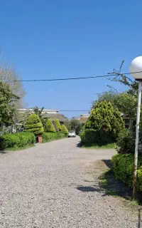 نیرویی نظافتی خانوم