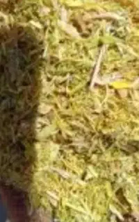 کاه عدس امسال(خرمایی)