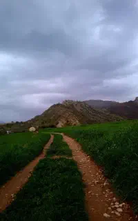 سرگرمی درطبیعت