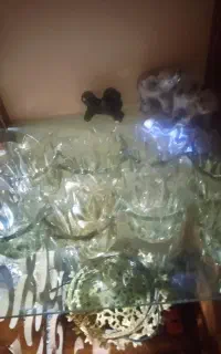 8عدد شیشه چراغ لوستر
