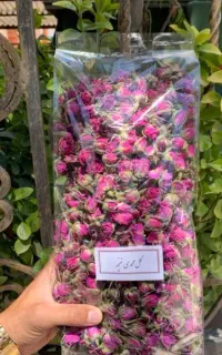 غنچه و گل محمدی به صورت تر و خشک