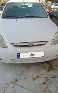 ریو تمیز خونگی