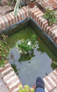 درخواست کافه سنتی و تاریخی دارم