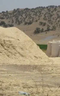 کاه جو