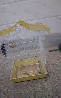 قفس