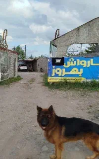 اتو لوازم یدکی منطقه باکارواش و مکانیکی