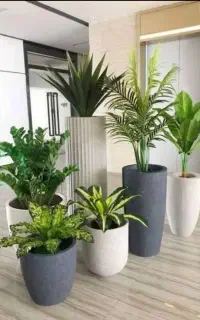 خدمات باغبانی هرسکاری گل کاری و تعویض خاک گلدون