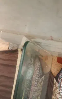 شیشه ی میز نهار خوری