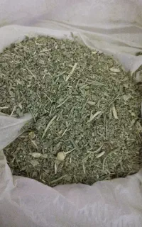 طب سنتی