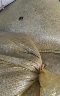 جو محلی