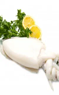 ماهی فیله درجه ۱