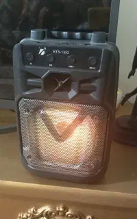 اسپیکر فلش خور