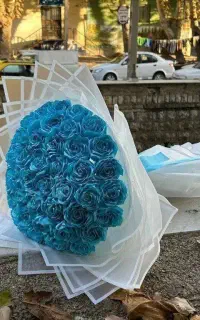 هدیه های ربانی