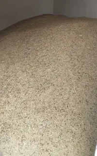 سلام جو امساله حدود ۲ تن برای حیوانات