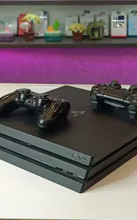 PS4/poro