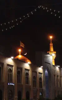 امسال برین مشهد به قیمت پارسال