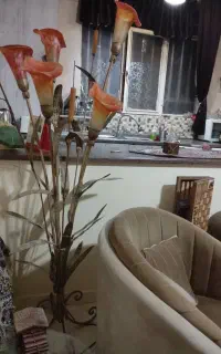 آباژور