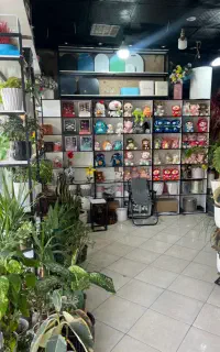 دکور مغازه