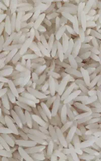 برنج طارم هاشمی