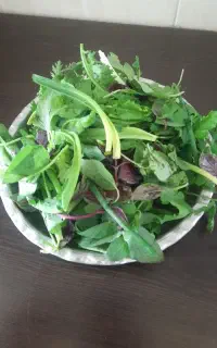 پخش انواع سبزی آماده،خورشتی،آشی،پلویی،خوردن