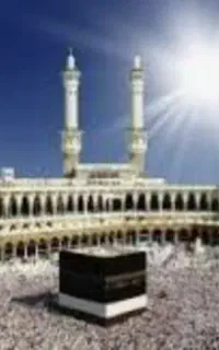 فروش یک عدد فیش حج تمتع