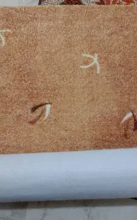 پادری