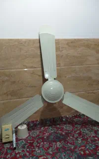 پنکه سقفی سایا