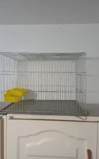 قفس پرنده