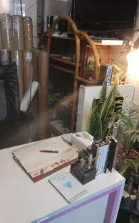 منشی و همکار خانم