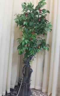 دریچه مصنوعی