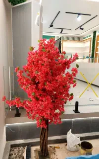 درختچه شکوفه
