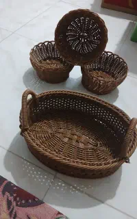 سرخ کن  سبد سبزی  تابلو