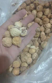 انجیر استهبان بسیار خوشمزه و طبیعی