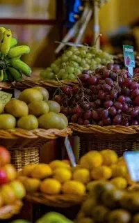 جذب نیروی میوه فروشی