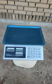 یک عددترازو نو