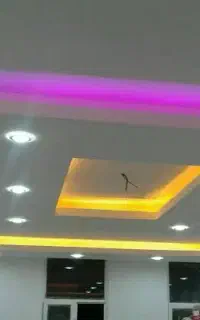 گچکاری و سفید کاری