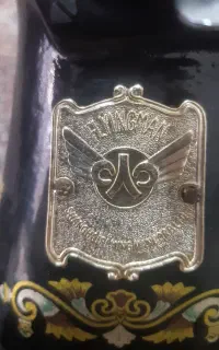 چرخ خیاتی مردپرنده