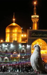 تور ریلی مشهد از همدان