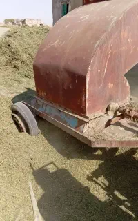 یونجه