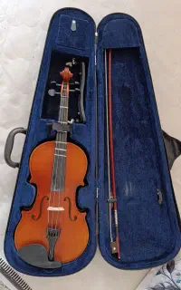 ویولن حرفه ای
