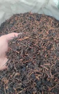 چای چوب درجه۱بهاره ممتاز