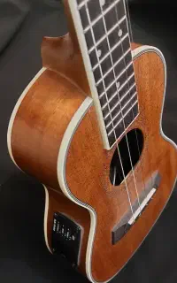 گیتار اکولوله حرفه‌ای پیکاپدار