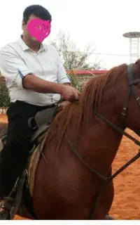 اسب سواری در باشگاه لیث