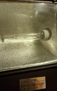 پروژکتور خیاری