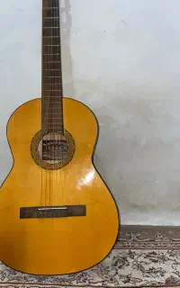 گتار دست ساز هوهنر H20